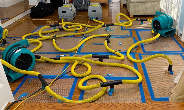 Professional Crawl Space Water Removal technician working in Portage, UT